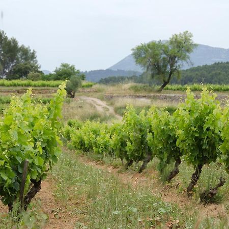 La Maison De Campagne Carcès Kültér fotó