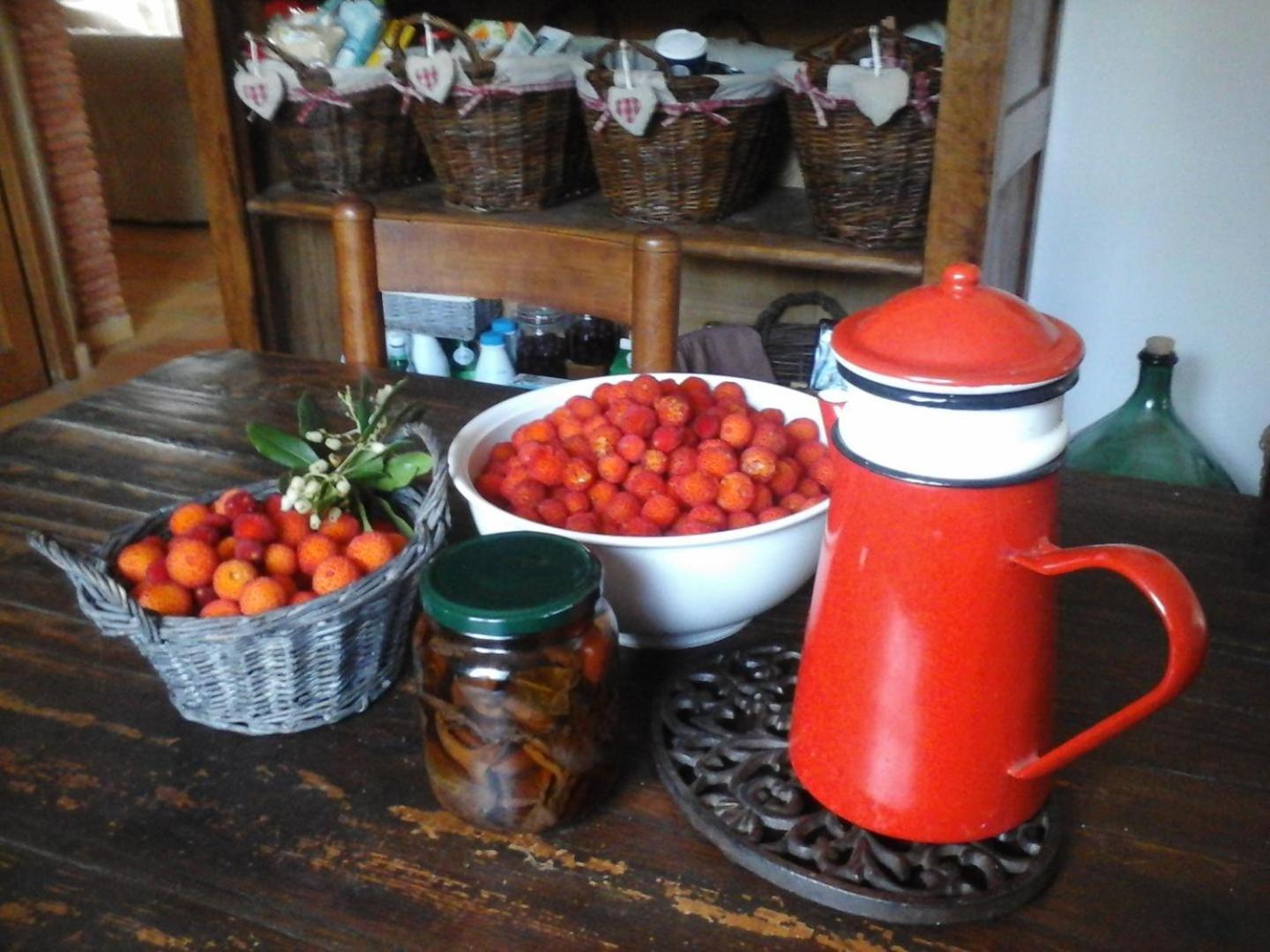 La Maison De Campagne Carcès Kültér fotó