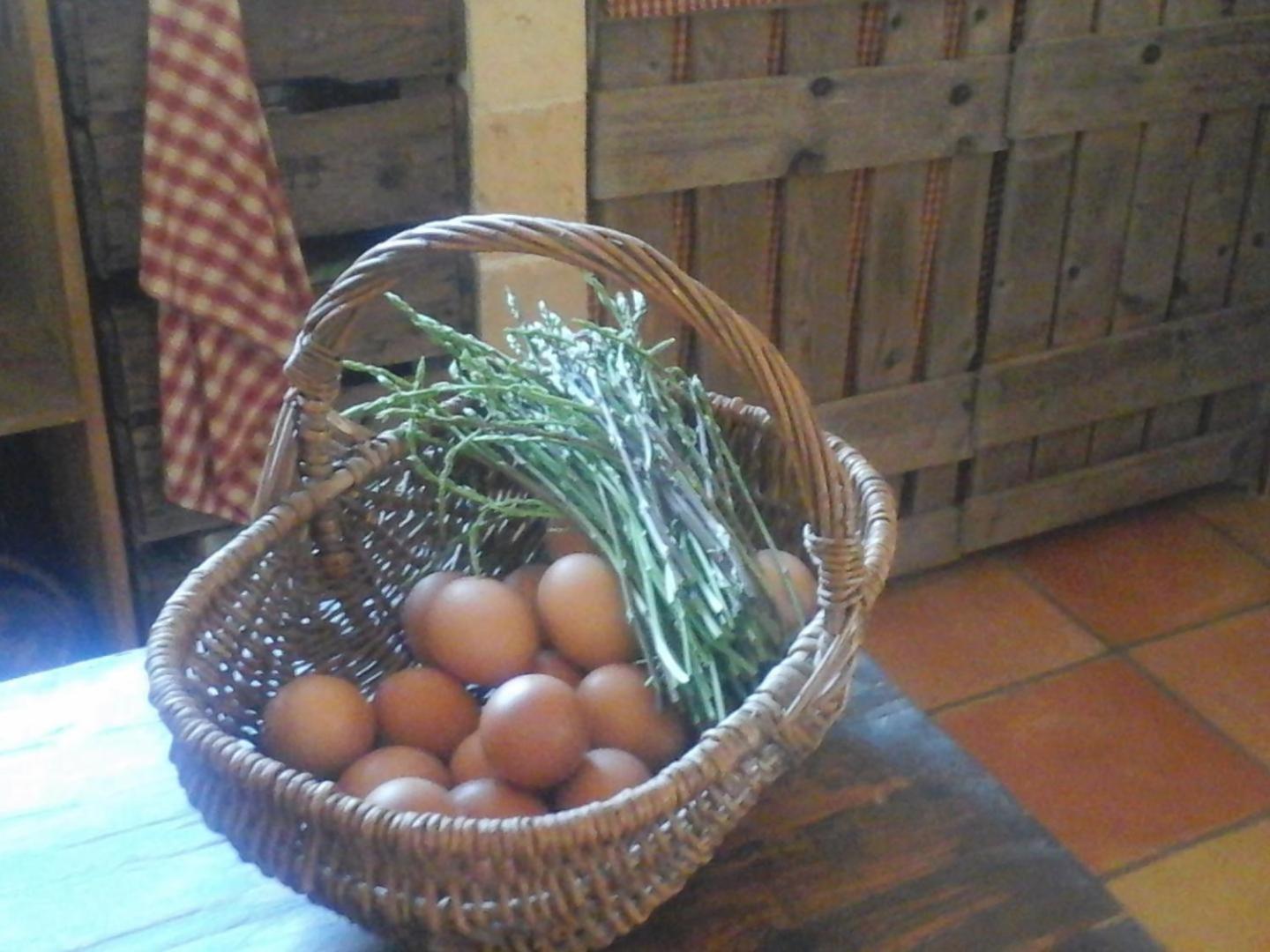 La Maison De Campagne Carcès Kültér fotó